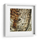 Natures Texturas III - Vision Studio | Cuadro decorativo de Canvas Lab