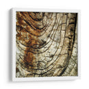 Natures Texturas III - Vision Studio | Cuadro decorativo de Canvas Lab