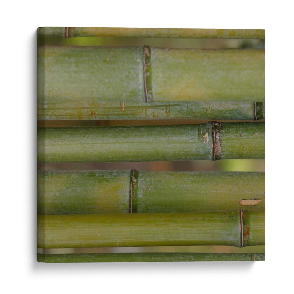 Natures Texturas V - Vision Studio | Cuadro decorativo de Canvas Lab