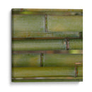 Natures Texturas V - Vision Studio | Cuadro decorativo de Canvas Lab