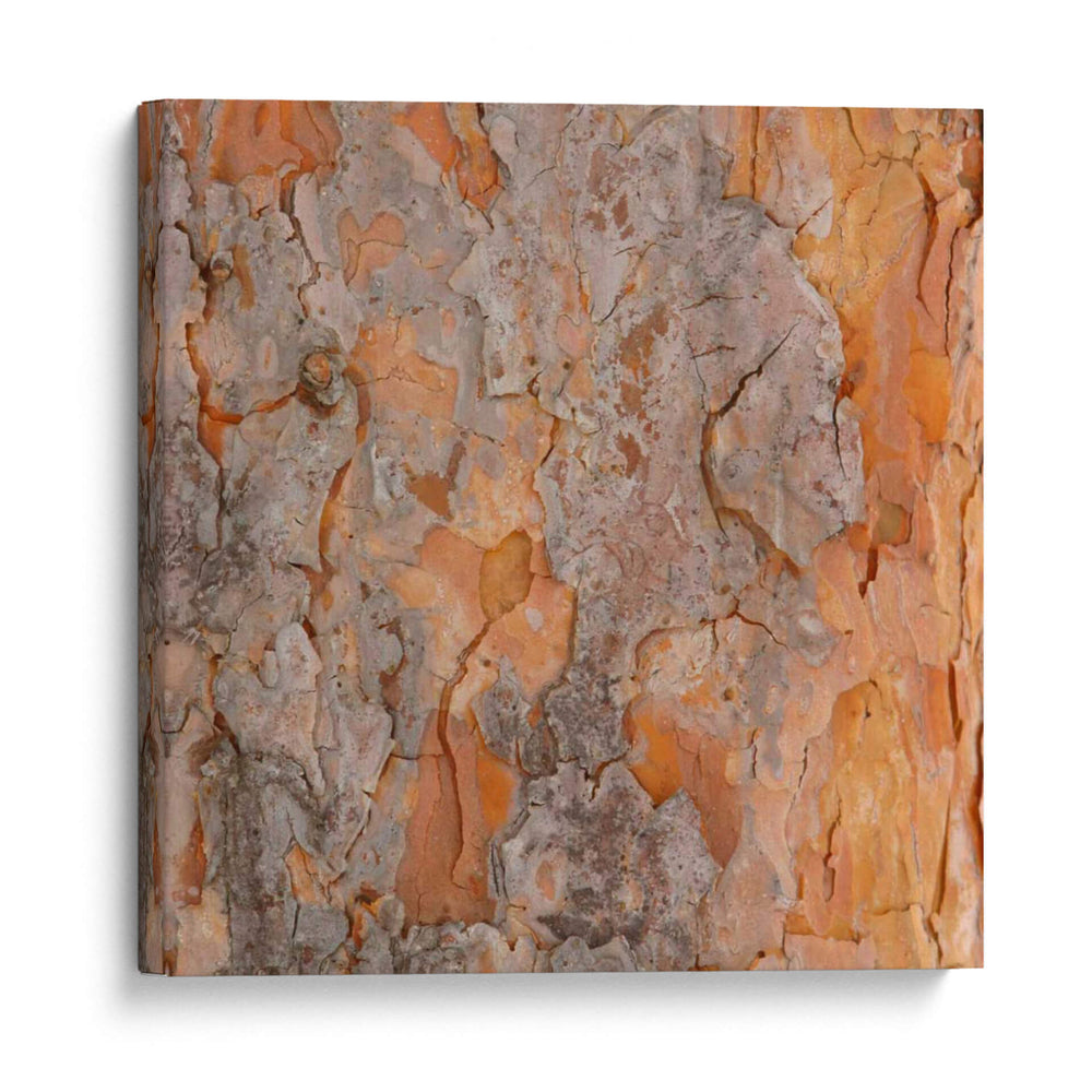 Naturalezas Texturas VII - Vision Studio | Cuadro decorativo de Canvas Lab