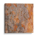 Naturalezas Texturas VII - Vision Studio | Cuadro decorativo de Canvas Lab