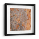 Naturalezas Texturas VII - Vision Studio | Cuadro decorativo de Canvas Lab