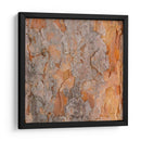 Naturalezas Texturas VII - Vision Studio | Cuadro decorativo de Canvas Lab