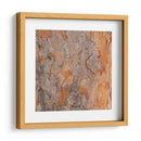 Naturalezas Texturas VII - Vision Studio | Cuadro decorativo de Canvas Lab