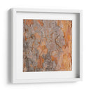 Naturalezas Texturas VII - Vision Studio | Cuadro decorativo de Canvas Lab
