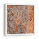 Naturalezas Texturas VII - Vision Studio | Cuadro decorativo de Canvas Lab