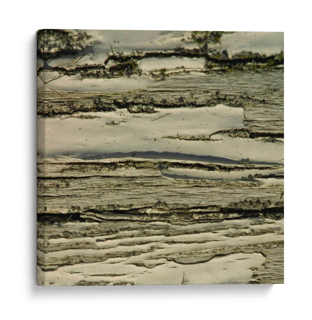 Naturalezas Texturas VIII - Vision Studio | Cuadro decorativo de Canvas Lab