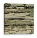 Naturalezas Texturas VIII - Vision Studio | Cuadro decorativo de Canvas Lab