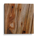 Naturalezas Texturas IX - Vision Studio | Cuadro decorativo de Canvas Lab