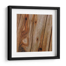 Naturalezas Texturas IX - Vision Studio | Cuadro decorativo de Canvas Lab