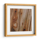 Naturalezas Texturas IX - Vision Studio | Cuadro decorativo de Canvas Lab