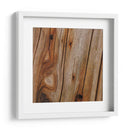 Naturalezas Texturas IX - Vision Studio | Cuadro decorativo de Canvas Lab