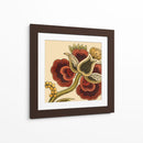 Pimentón Floral I - June Erica Vess | Cuadro decorativo de Canvas Lab
