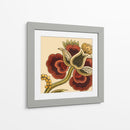 Pimentón Floral I - June Erica Vess | Cuadro decorativo de Canvas Lab