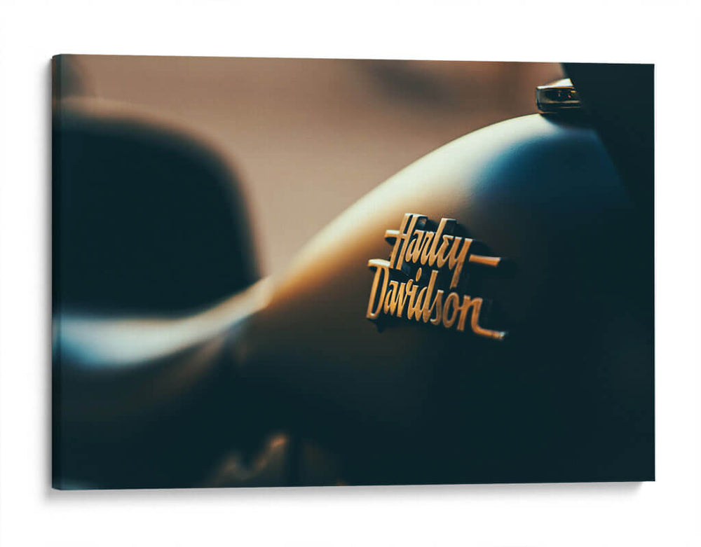 Harley Davidson | Cuadro decorativo de Canvas Lab