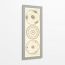 Sevres Porcelana Panel I - Garnier | Cuadro decorativo de Canvas Lab