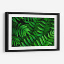 Helecho | Cuadro decorativo de Canvas Lab