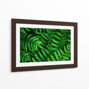 Helecho | Cuadro decorativo de Canvas Lab