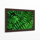 Helecho | Cuadro decorativo de Canvas Lab