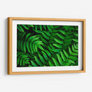 Helecho | Cuadro decorativo de Canvas Lab