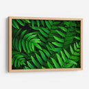 Helecho | Cuadro decorativo de Canvas Lab