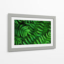 Helecho | Cuadro decorativo de Canvas Lab