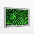 Helecho | Cuadro decorativo de Canvas Lab