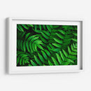 Helecho | Cuadro decorativo de Canvas Lab