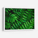 Helecho | Cuadro decorativo de Canvas Lab