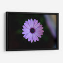 Hermoso florecer | Cuadro decorativo de Canvas Lab