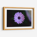 Hermoso florecer | Cuadro decorativo de Canvas Lab