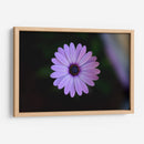 Hermoso florecer | Cuadro decorativo de Canvas Lab