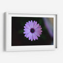 Hermoso florecer | Cuadro decorativo de Canvas Lab