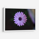 Hermoso florecer | Cuadro decorativo de Canvas Lab