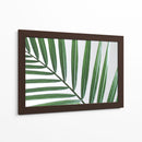 Hoja abanico | Cuadro decorativo de Canvas Lab