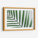 Hoja abanico | Cuadro decorativo de Canvas Lab