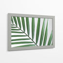 Hoja abanico | Cuadro decorativo de Canvas Lab