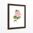 Hortensia rosa de acuarela | Cuadro decorativo de Canvas Lab