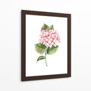 Hortensia rosa de acuarela | Cuadro decorativo de Canvas Lab