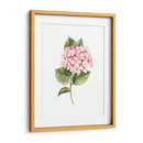 Hortensia rosa de acuarela | Cuadro decorativo de Canvas Lab