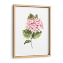 Hortensia rosa de acuarela | Cuadro decorativo de Canvas Lab