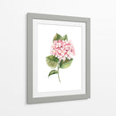 Hortensia rosa de acuarela | Cuadro decorativo de Canvas Lab