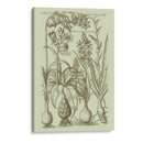 Jardín De La Flora I - Vision Studio | Cuadro decorativo de Canvas Lab