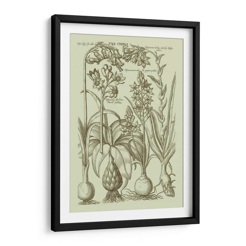 Jardín De La Flora I - Vision Studio | Cuadro decorativo de Canvas Lab