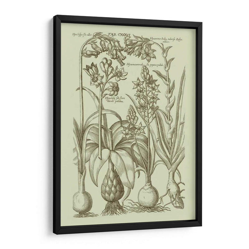 Jardín De La Flora I - Vision Studio | Cuadro decorativo de Canvas Lab