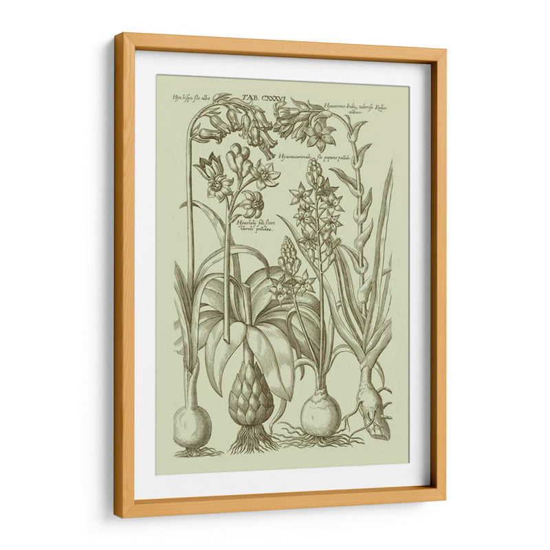 Jardín De La Flora I - Vision Studio | Cuadro decorativo de Canvas Lab