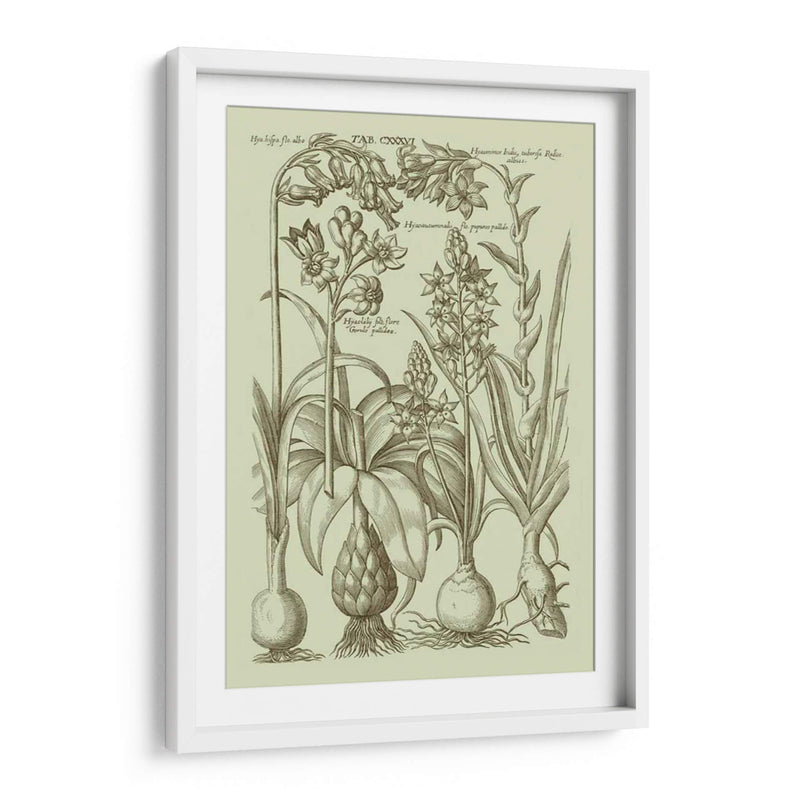 Jardín De La Flora I - Vision Studio | Cuadro decorativo de Canvas Lab