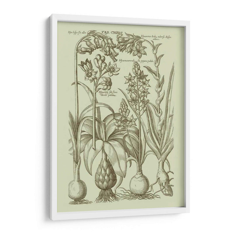 Jardín De La Flora I - Vision Studio | Cuadro decorativo de Canvas Lab