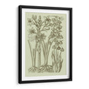 Jardín De La Flora II - Vision Studio | Cuadro decorativo de Canvas Lab